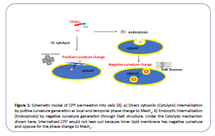 clinical-experimental-model