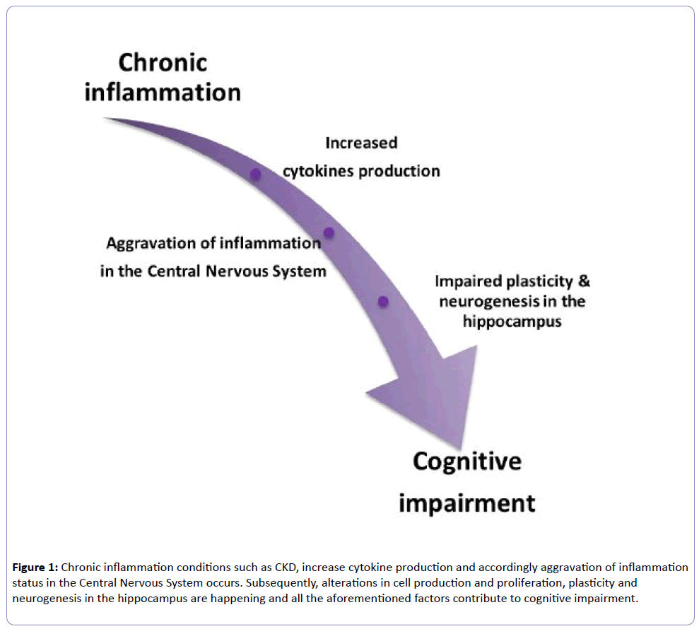 Inflammation and cognitive decline