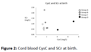 clinical-experimental-nephrology-Cord-CysC