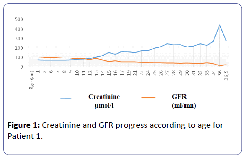 clinical-experimental-nephrology-Creatinine-GFR-progress