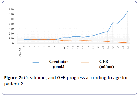 clinical-experimental-nephrology-GFR-progress-according