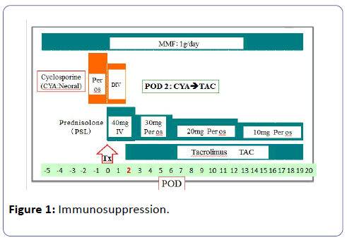 clinical-experimental-nephrology-Immunosuppression