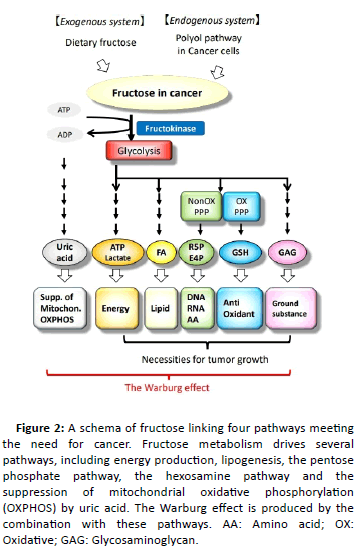 clinical-experimental-nephrology-fructose-linking