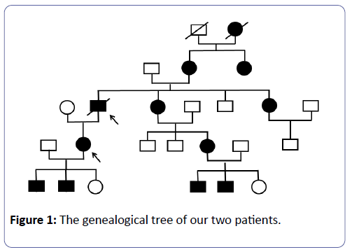 clinical-experimental-nephrology-genealogical-tree